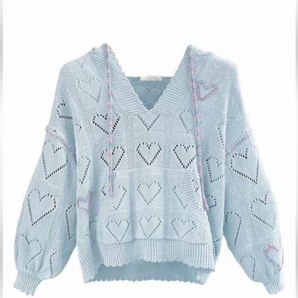 Loveshackfancy Hoodie